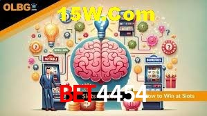 Experiência VIP Bet4454