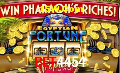 Experiência VIP Bet4454